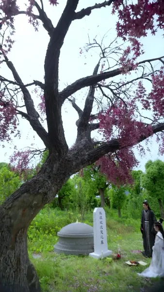 การแก้แค้นของสนมเอก