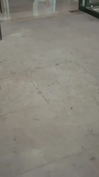 วันใหม่ของเรา