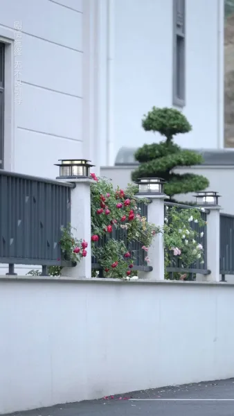 ตัวแทนหัวใจ