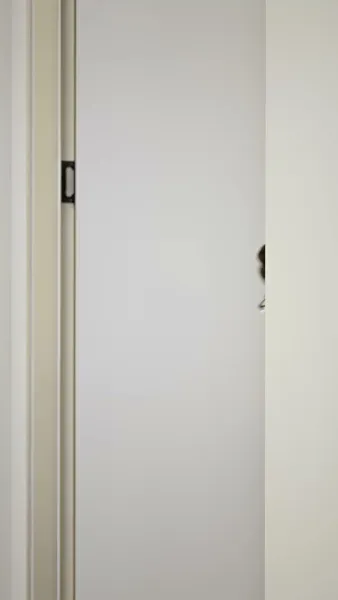 คุณหนูแท้คือเด็กเรียนเก่ง 2