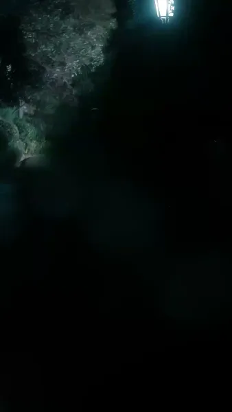 เกมปั้นชีวิตของหญิงทะเยอทะยาน