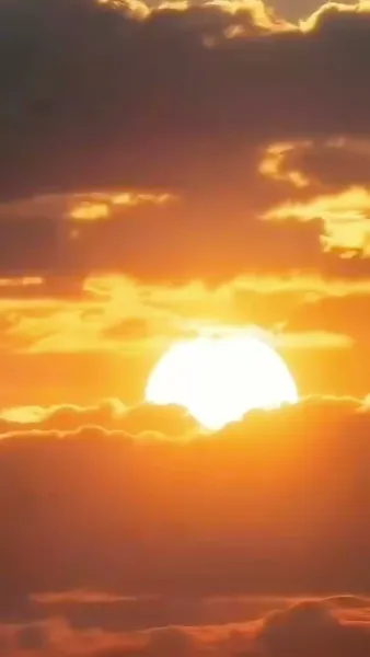 เกมปั้นชีวิตของหญิงทะเยอทะยาน