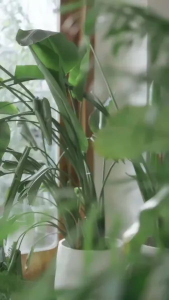 เกมปั้นชีวิตของหญิงทะเยอทะยาน