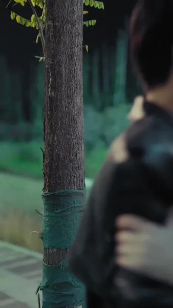 สามีองศ์เทพของฉัน