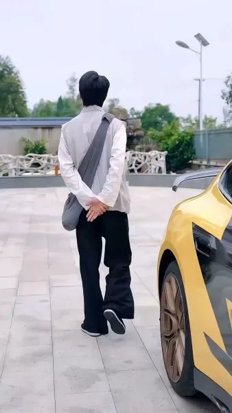 มังกรซ่อนคม(พากย์ไทย)