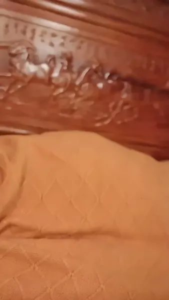 มังกรซ่อนคม(พากย์ไทย)