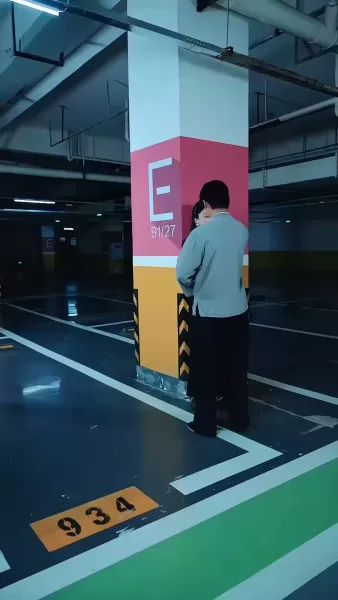 มังกรซ่อนคม(พากย์ไทย)