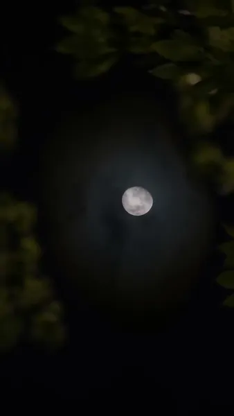 ความรักใต้แสงจันทรา