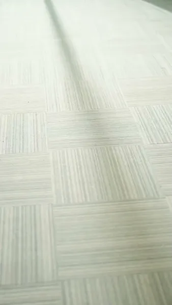 เงามืดแห่งเมตตา