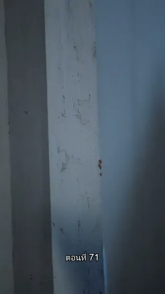 ข้ามเวลามาเป็นชายาอ๋องซาดิสม์