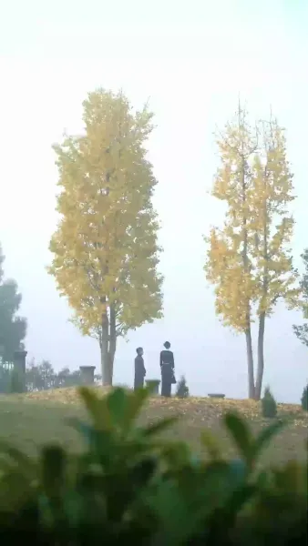 (พากย์เสียง)สนุกเกอร์น้อยจอมยุ่ง