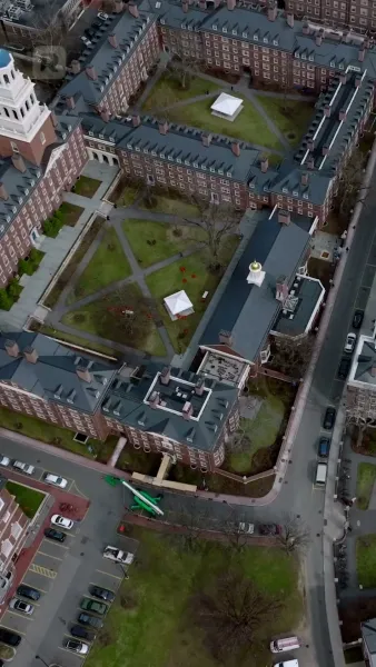 จากเหยื่อสู่ราชินี