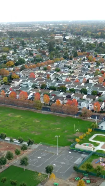 จากเหยื่อสู่ราชินี