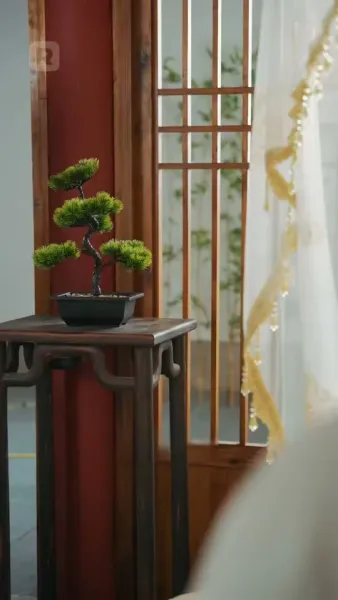 พระองค์ของฉัน, ท่านภรรยาแต่งใหม่