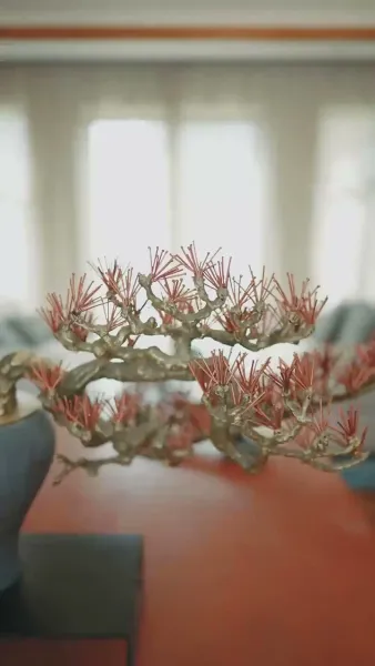 การตอบโต้ หลังจากแต่งงาน