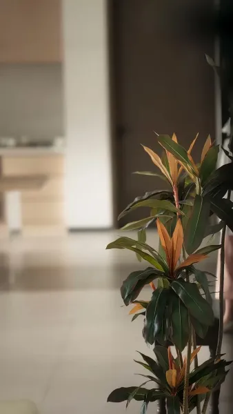 เล่ห์รักกับแผนร้าย