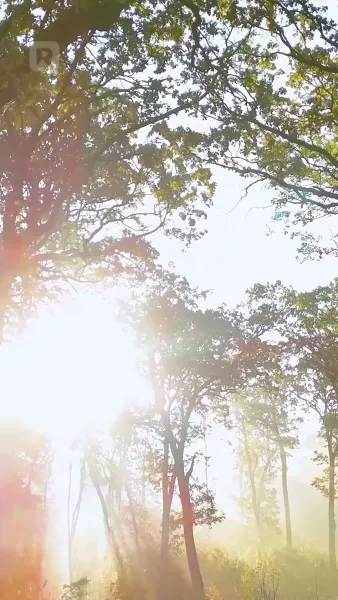 หลงรถซีอีโอตกหลุมรัก