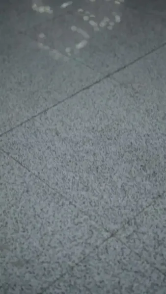 สัญญารักสิบปี