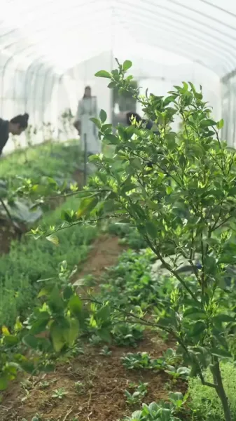 ยักษ์พัฒนาการ: ฉันช่วยเจ้าชายขี้ขลาดพลิกสถานการณ์