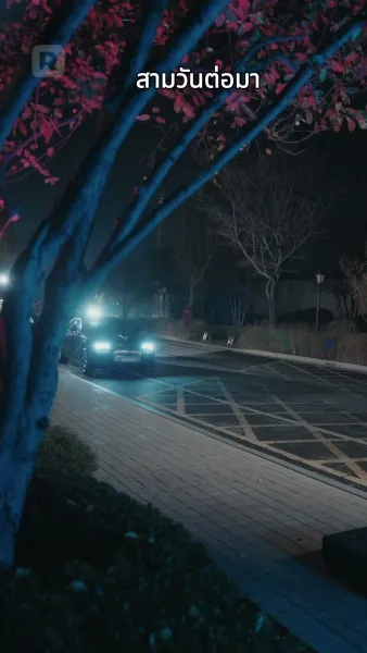 หวนคืนสู่วันคืนอันรุ่งโรจน์ดุจดวงดาว