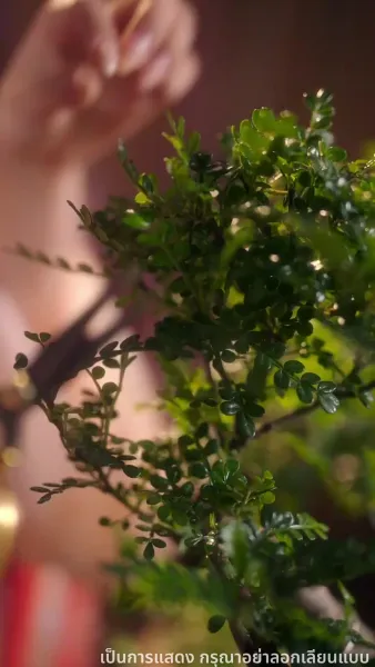 เพลิงแค้นพลิกชะตาวังหลัง