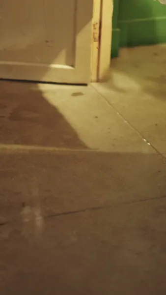 เมียฉันไม่เหมือนเดิมแล้ว