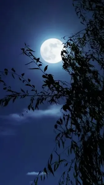 เมียฉันไม่เหมือนเดิมแล้ว