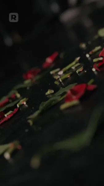 รักร้อนแรง: ความรักของมาเฟียมืด