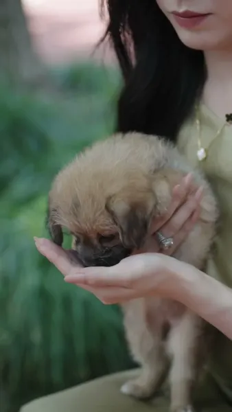 เกมรักซ่อนใจของคุณหญิง