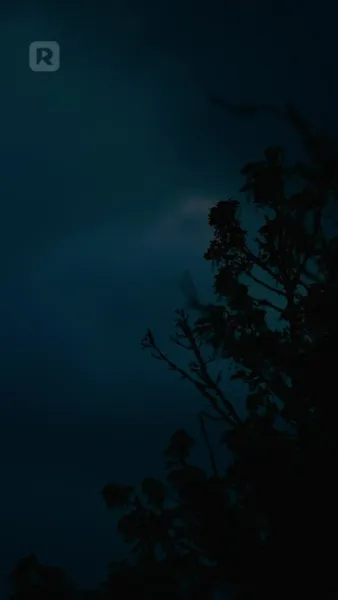 รักลับๆ ฉบับพี่ชายไม่แท้