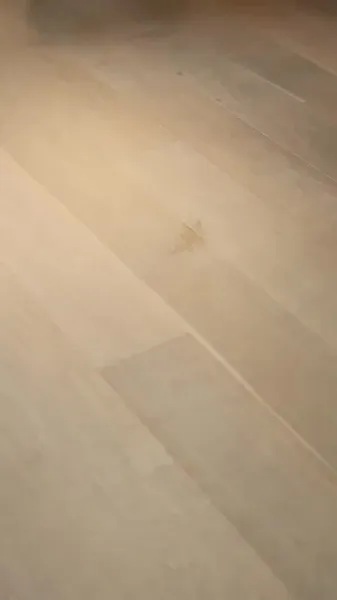 ภรรยาสวรรค์ประทาน 