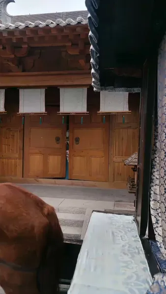 แย่แล้ว ดันไปสะดุดใจทรราช