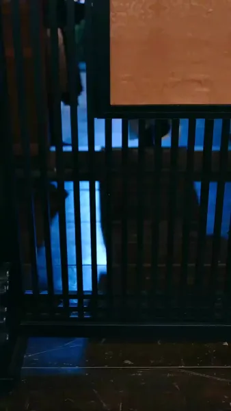 แย่แล้ว ดันไปสะดุดใจทรราช