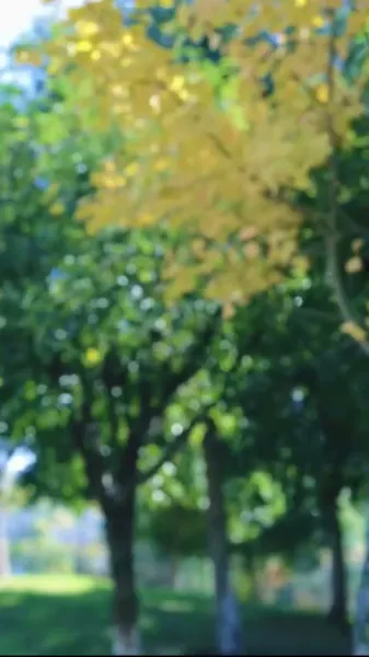  เขยชั่ว อย่ามาหาเรื่อง