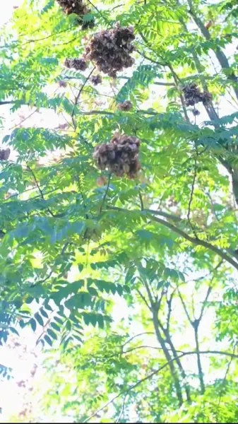  เขยชั่ว อย่ามาหาเรื่อง