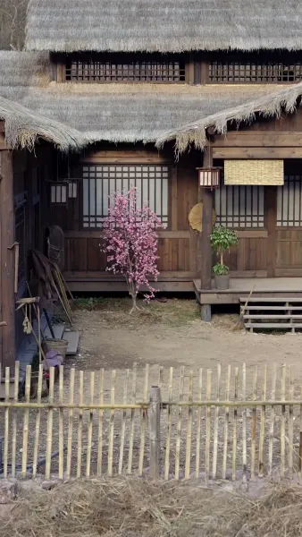 ข้ามเวลามาเป็นหม้ายรัก