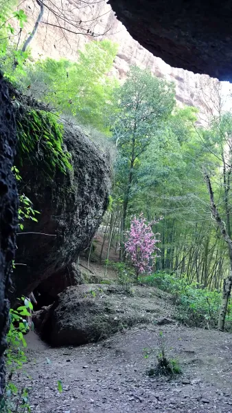 ข้ามเวลามาเป็นหม้ายรัก