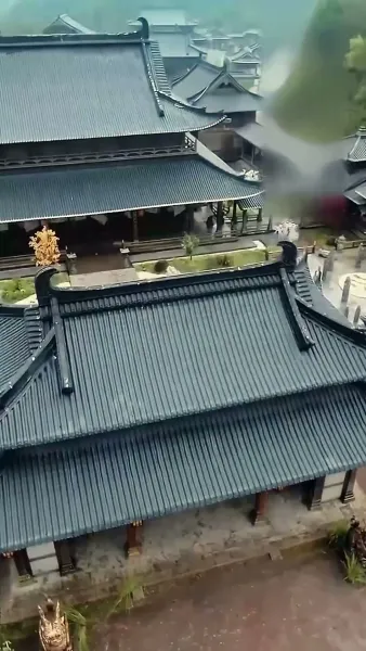 ข้ามเวลามาเป็นหม้ายรัก