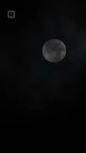 รักสุดหวงของคุณชาย