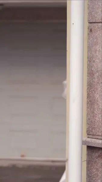 [พากย์ไทย]กามเทพน้อยสื่อรัก