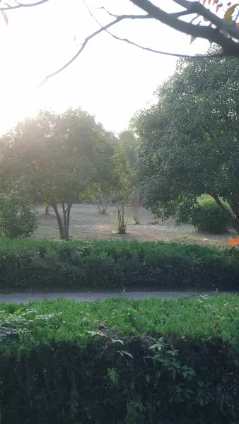 เสน่หามิอาจลืม