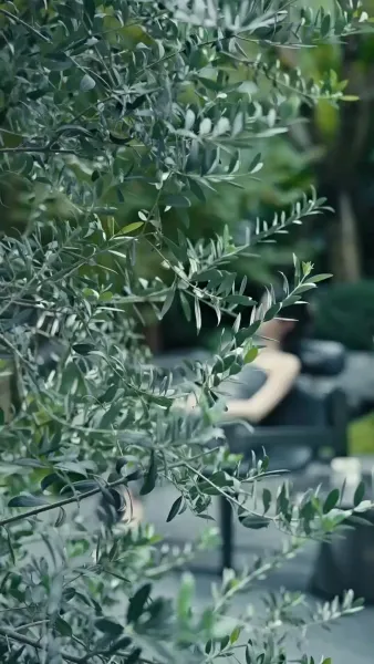 พลิกเกมล่าหวนกลับมาล้างแค้น