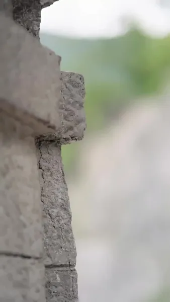 บัลลังก์นี้ข้าขอทวงคืน