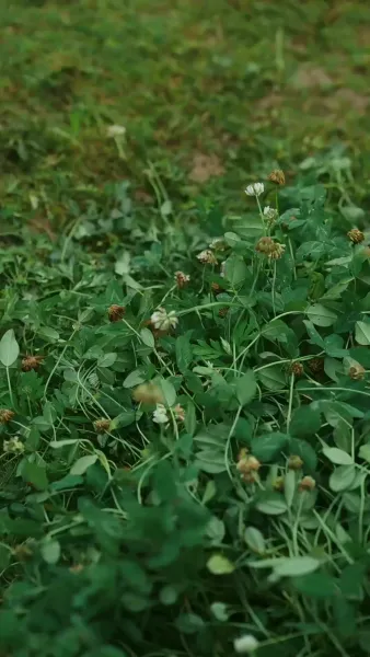 โชคชะตาพบพาให้เจอ