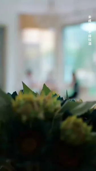 สายน้ำไม่ไหลกลับ