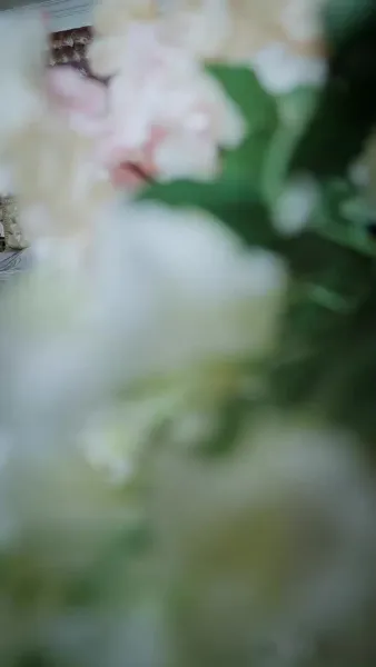 วิวาห์อลหม่าน