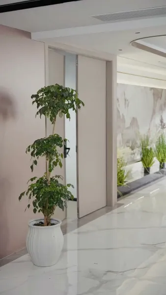 เข้าผิดงานวิวาห์ พลิกชะตารัก