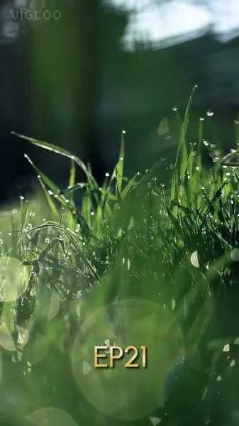 อาหารเดือดดาล