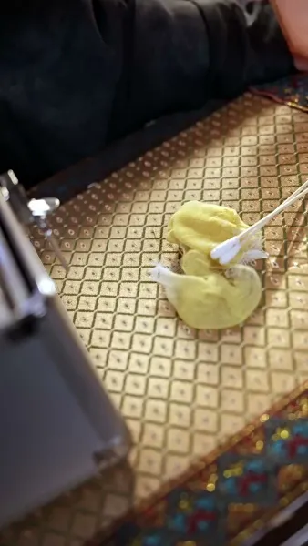 ท่านโหวข้าใครอย่าแตะ