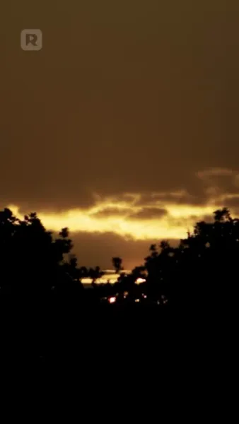 เขากลับมา ในคราบสามีของฉัน